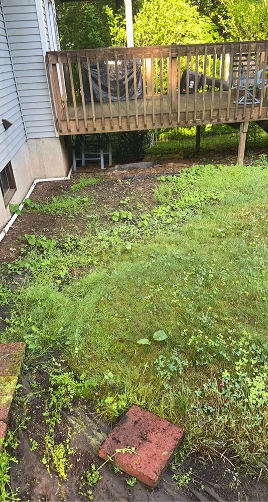 Top-rated yard maintenance experts serving Nazareth, PA - JNR Lawncare Services