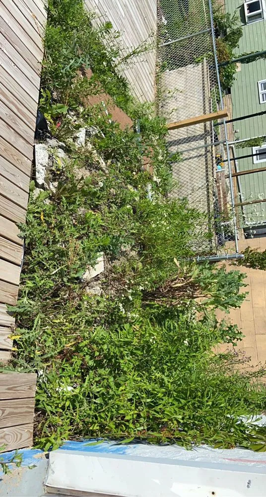 Top-rated landscape design experts serving Nazareth, PA - JNR Lawncare Services