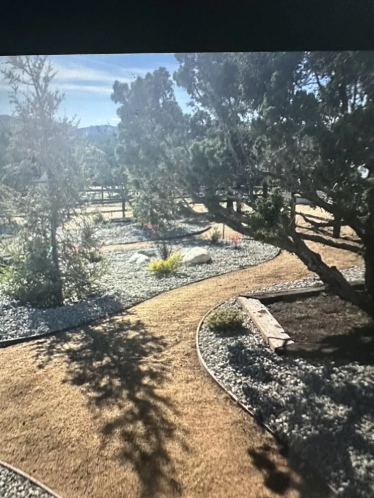 Top-rated lawn care service for homes across Santa Clarita, CA - JNR Maintenance