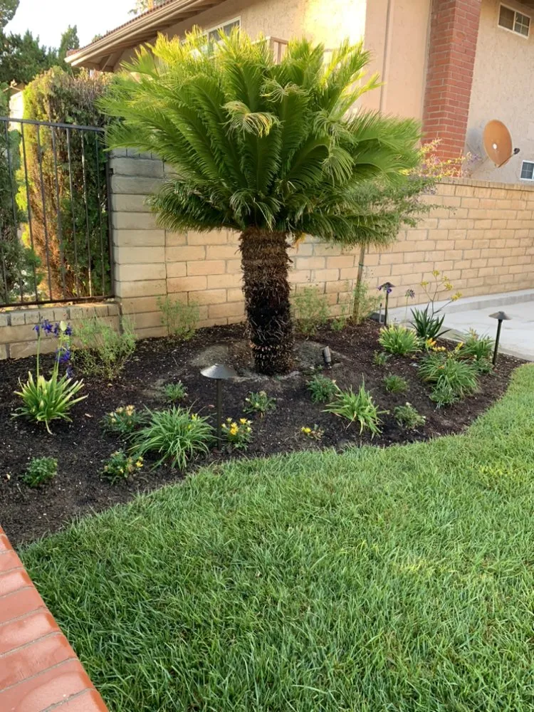 Local landscape design in Santa Clarita, CA - JNR Maintenance