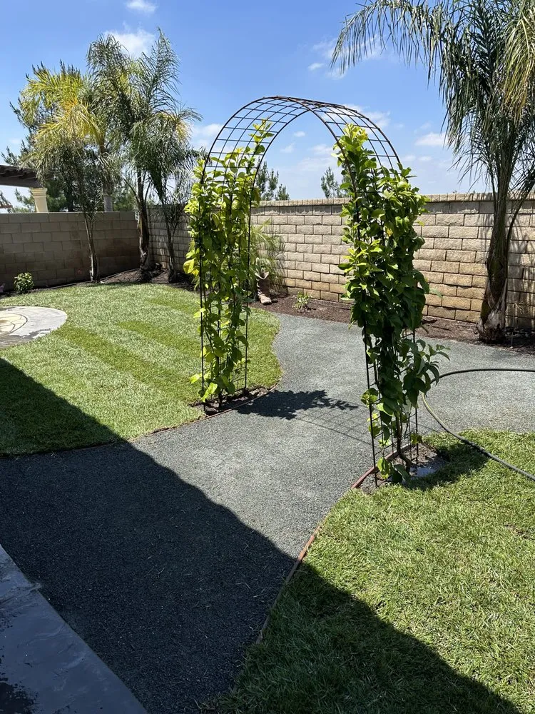 Reliable yard cleanup service in Santa Clarita, CA - JNR Maintenance