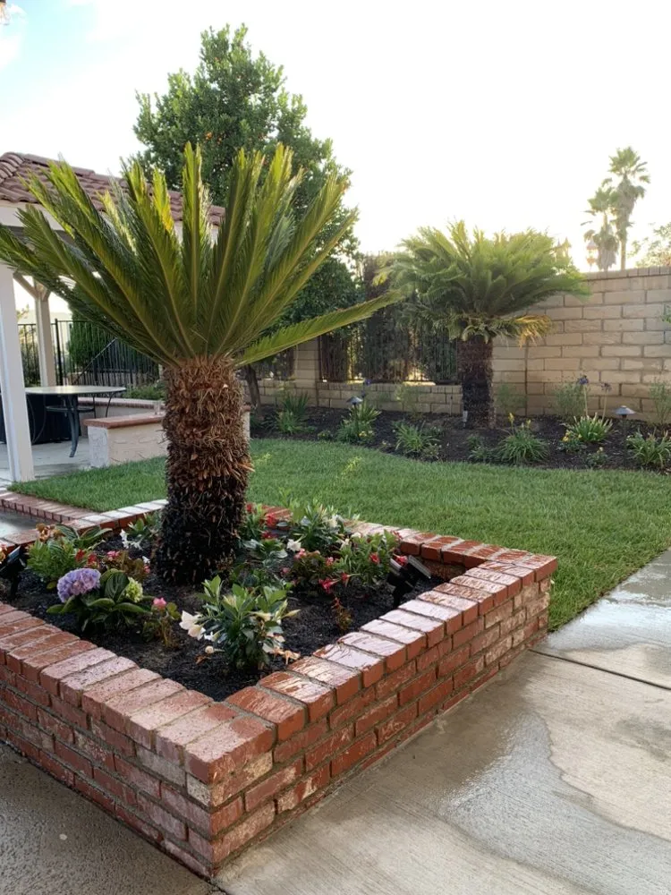 Professional yard maintenance for beautiful yards across Santa Clarita, CA - JNR Maintenance