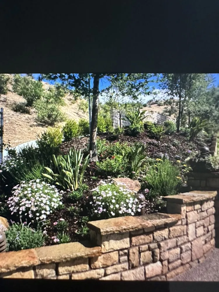 Expert outdoor landscaping in Santa Clarita, CA - JNR Maintenance