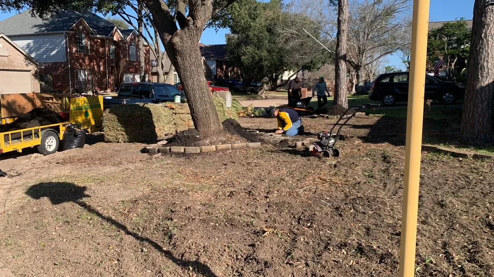 Local yard cleanup service experts serving Katy, TX - JNR Solutions