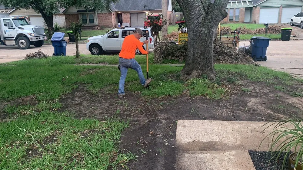 Reliable garden landscaping in Katy, TX - JNR Solutions