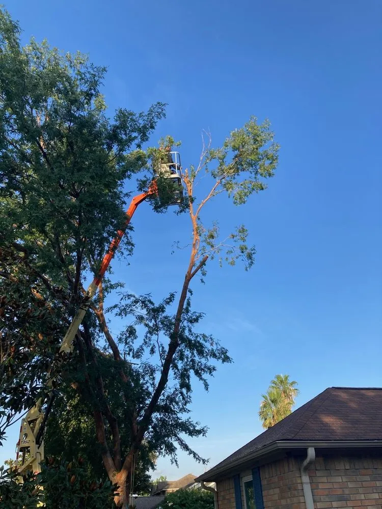 Top-rated lawn mowing service in Katy, TX - JNR Solutions