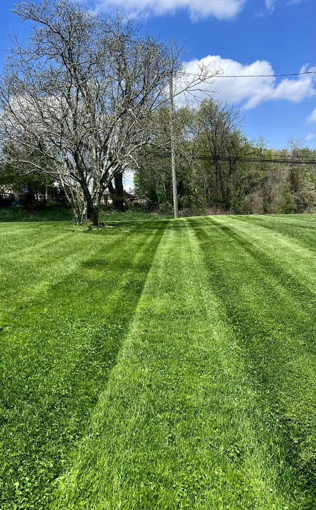 Trusted outdoor landscaping for year-round maintenance in Toronto, OH by JNS Landscaping