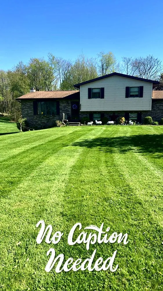 Top-rated lawn care service experts serving Toronto, OH - JNS Landscaping