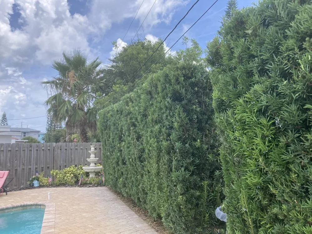 Reliable landscape installation in Titusville, FL - JNS Lawn Sprinkler Systems