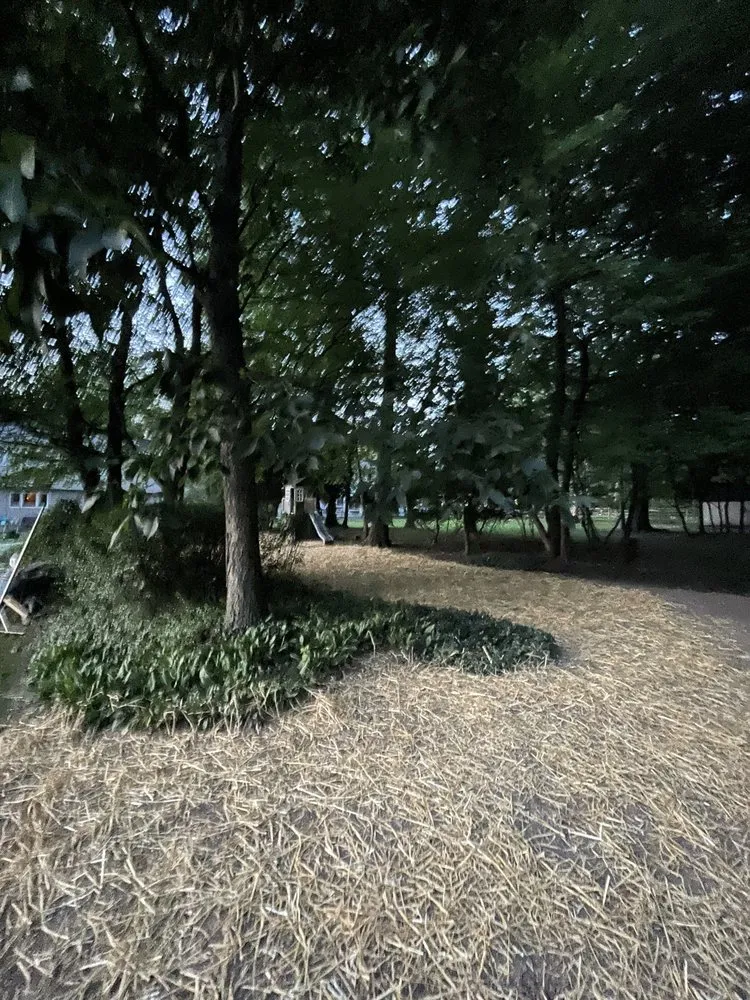 Reliable landscape design in Warrington, PA by JNT Property Management