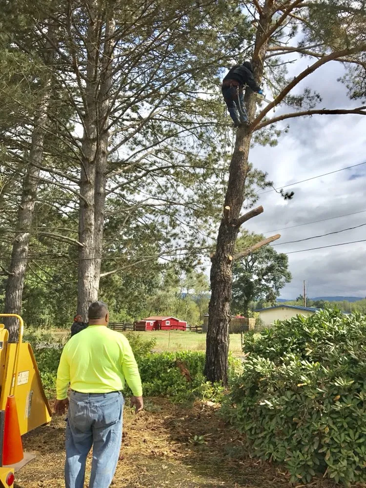Trusted outdoor landscaping in Portland, OR by JNT TREE CARE