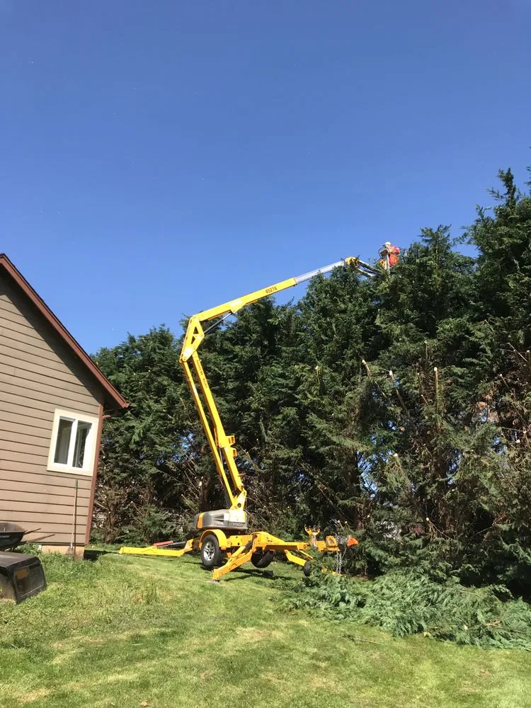 Trusted landscape design in Portland, OR by JNT TREE CARE