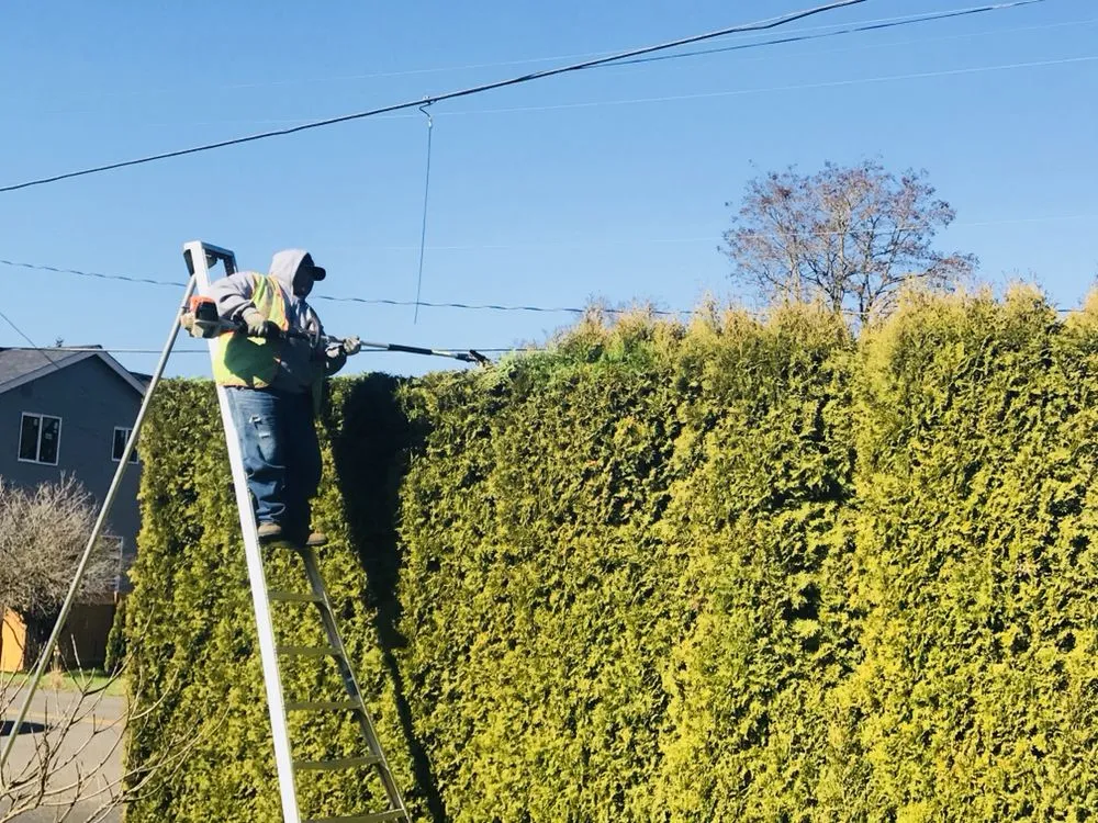 Custom landscape installation experts serving Portland, OR - JNT TREE CARE