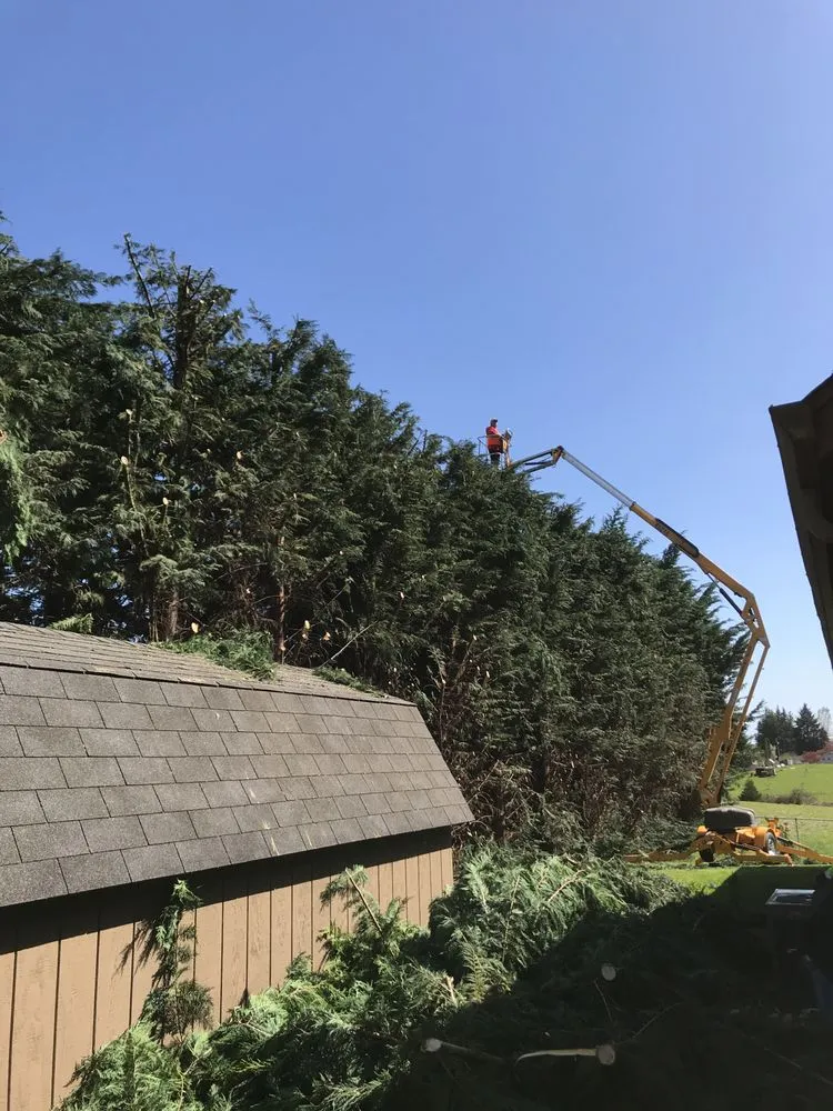 Expert garden landscaping in Portland, OR - JNT TREE CARE