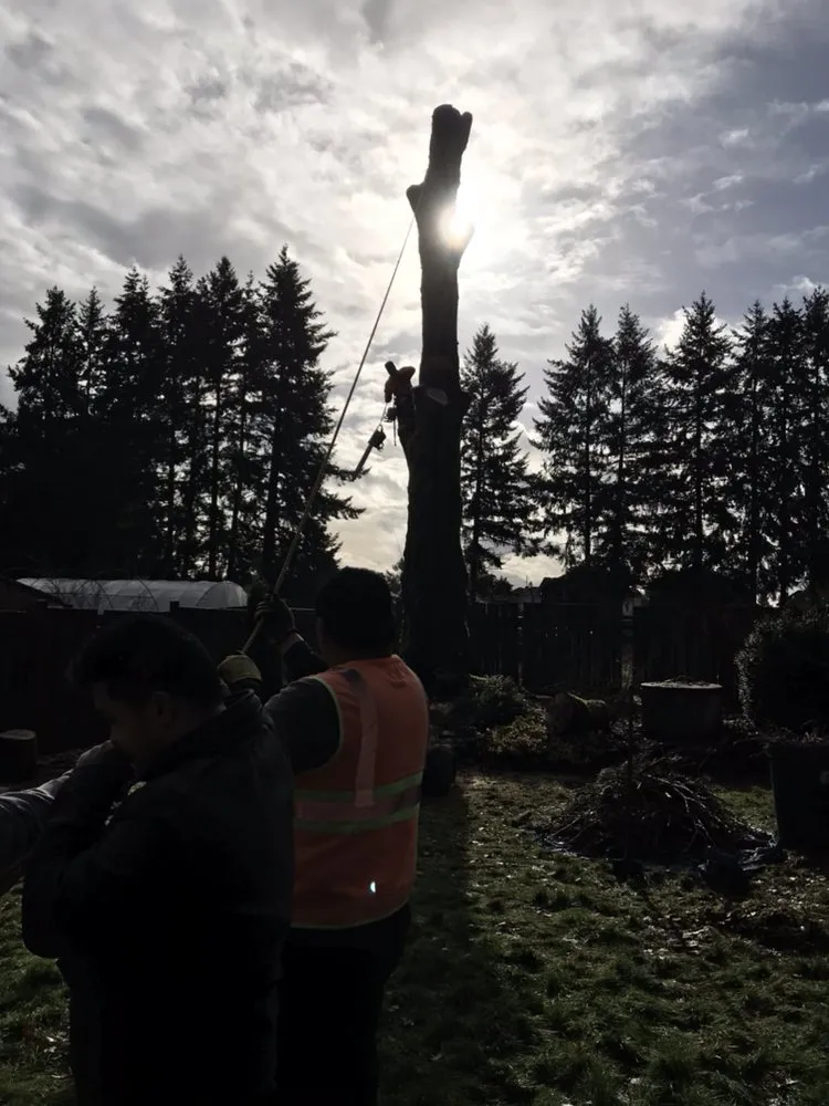 Affordable garden landscaping experts serving Portland, OR - JNT TREE CARE