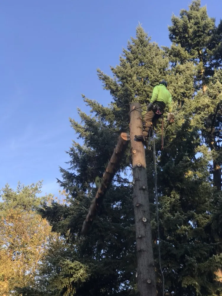 Trusted garden landscaping for beautiful yards across Portland, OR - JNT TREE CARE