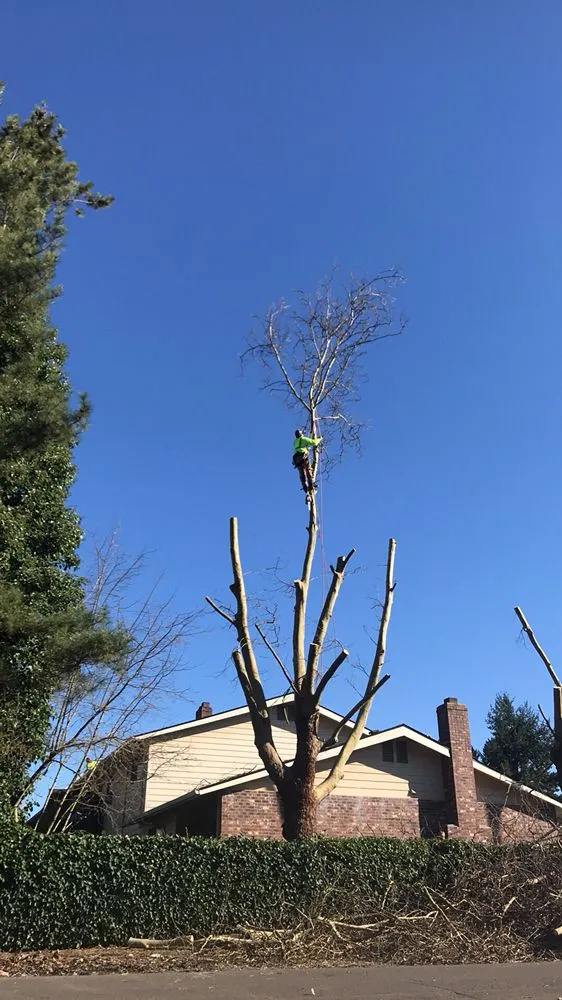 Top-rated outdoor landscaping for residential properties across Portland, OR - JNT TREE CARE