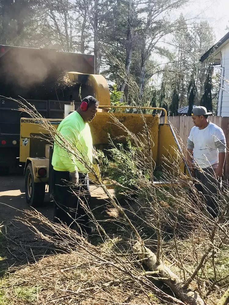 Trusted lawn care service in Portland, OR by JNT TREE CARE