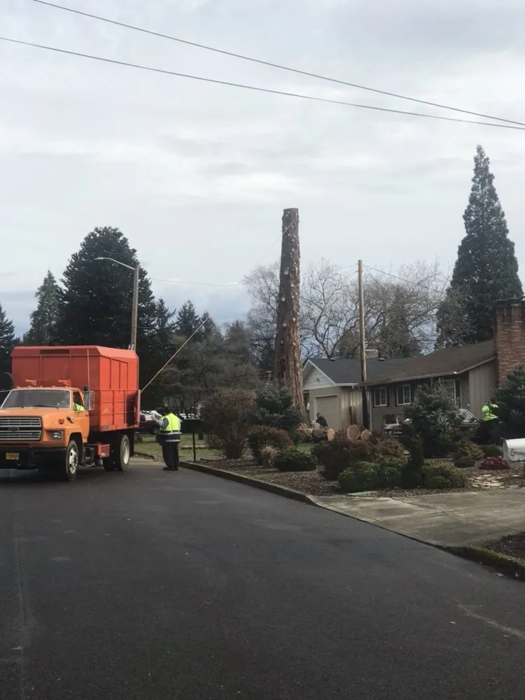 Reliable landscape installation experts serving Portland, OR - JNT TREE CARE