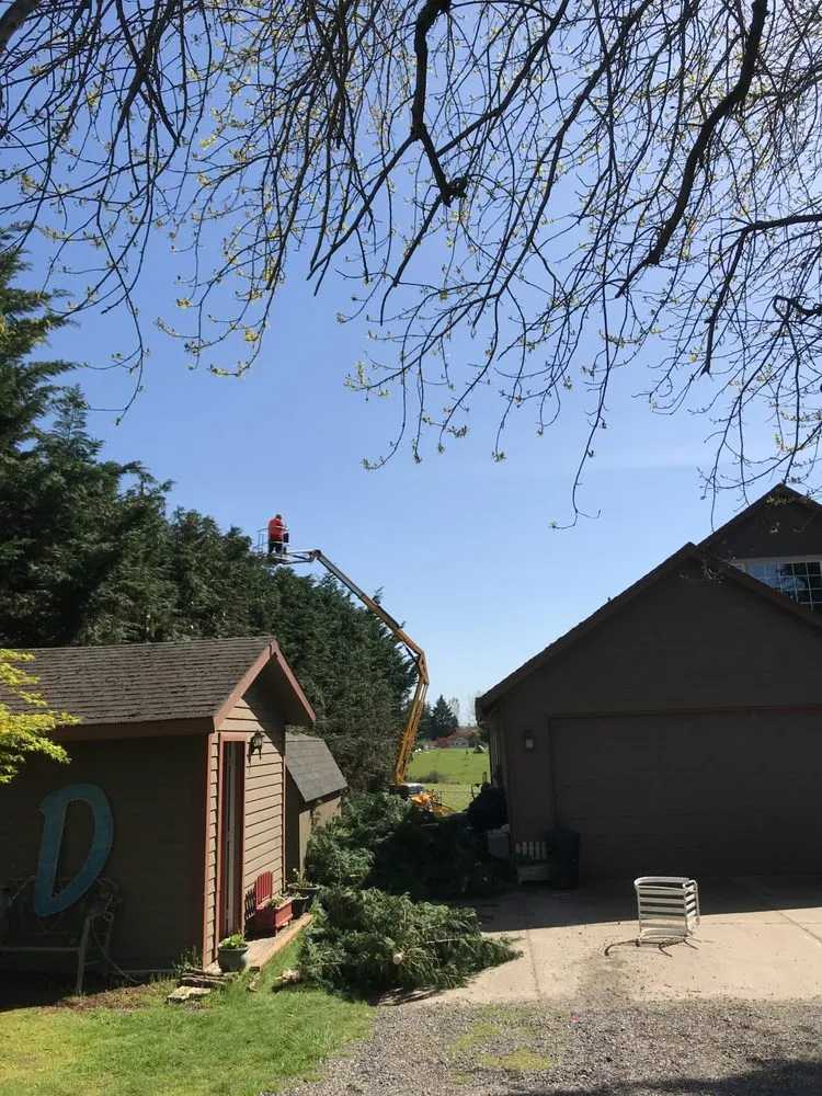 Expert landscape installation experts serving Portland, OR - JNT TREE CARE