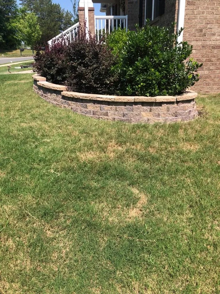 Custom yard maintenance experts serving Charlotte, NC - JNV Landscaping