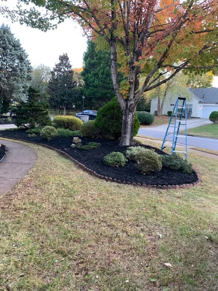 Reliable yard cleanup service in Charlotte, NC - JNV Landscaping