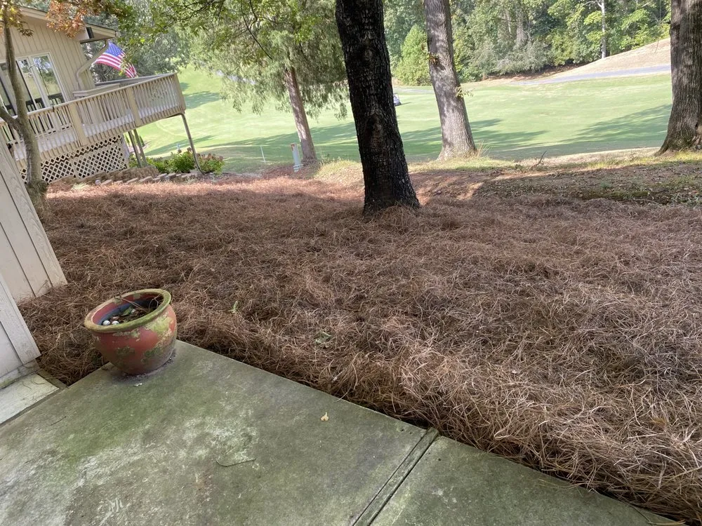 Top-rated landscape design in Charlotte, NC - JNV Landscaping