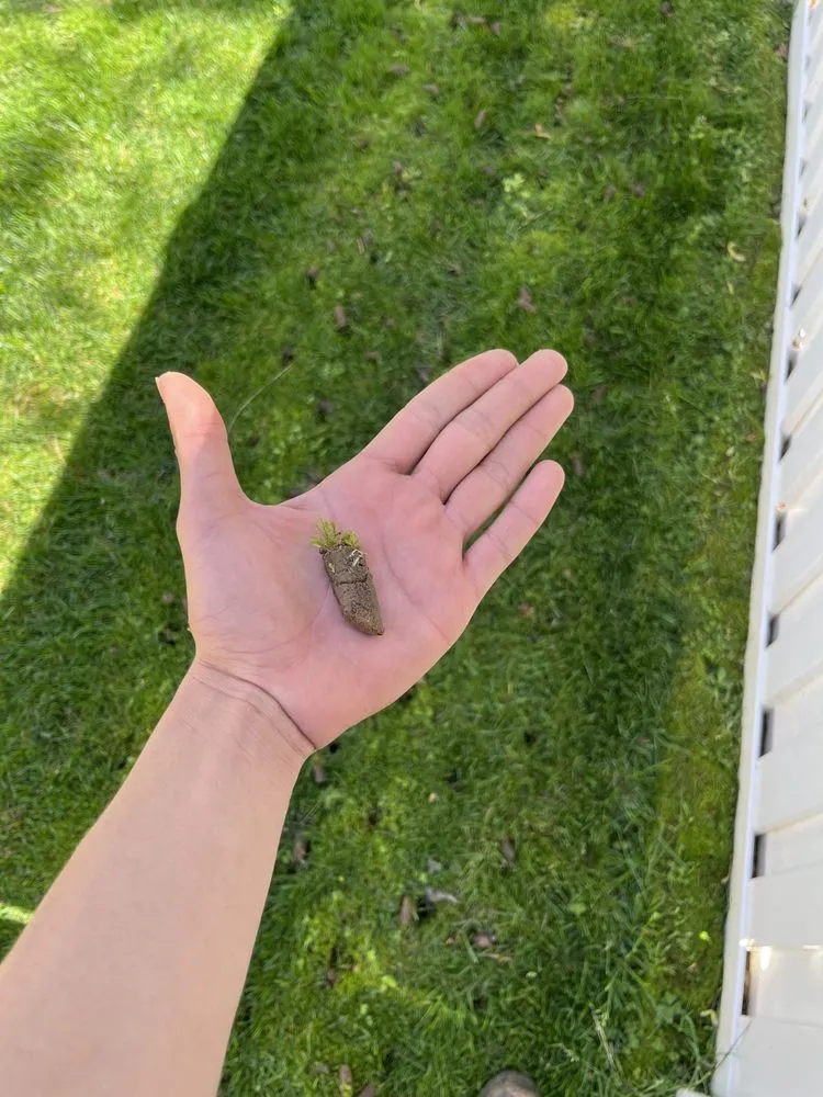 Expert lawn mowing service experts serving Lanham, MD - JNV Landscaping