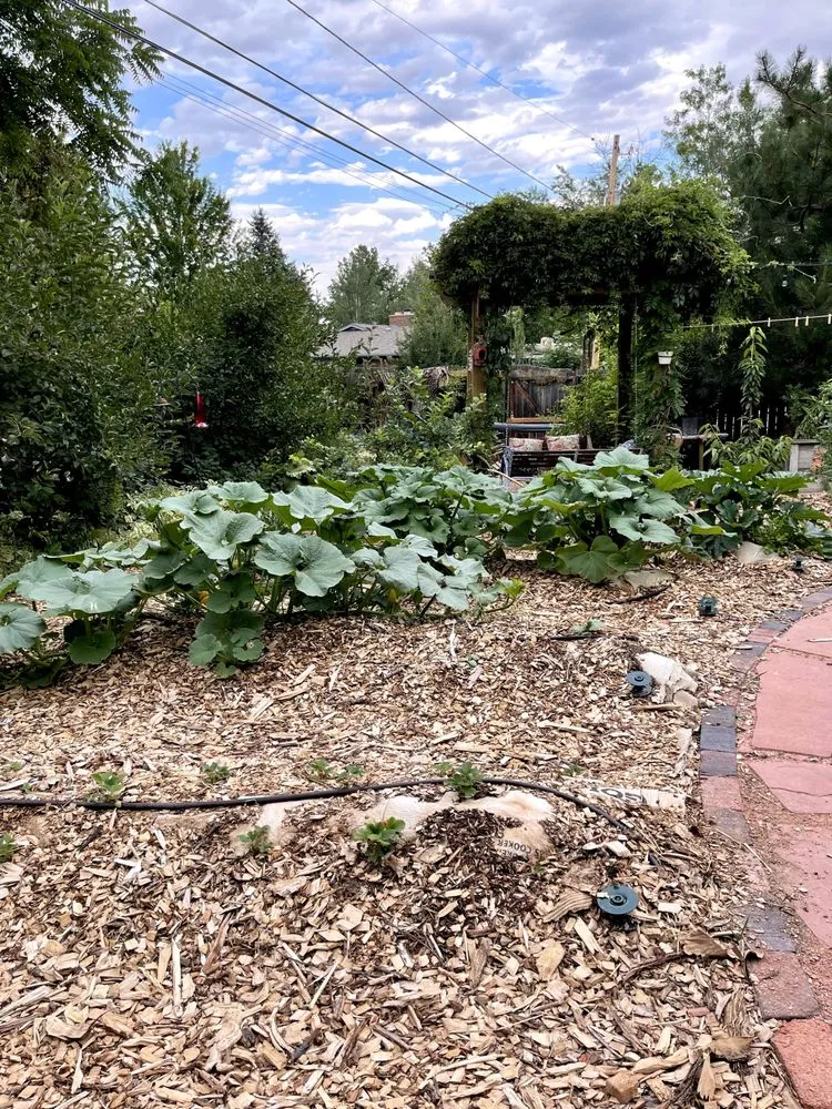 Custom lawn care service in Boulder, CO - JNV The Enriquez Brothers Landscaping Services