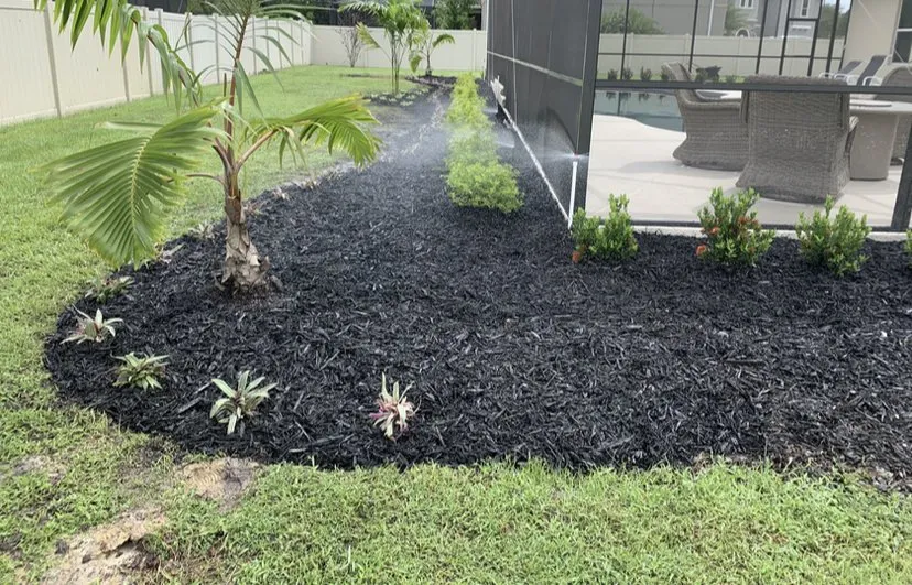 Professional yard maintenance experts serving Orlando, FL - Jny Landscaping