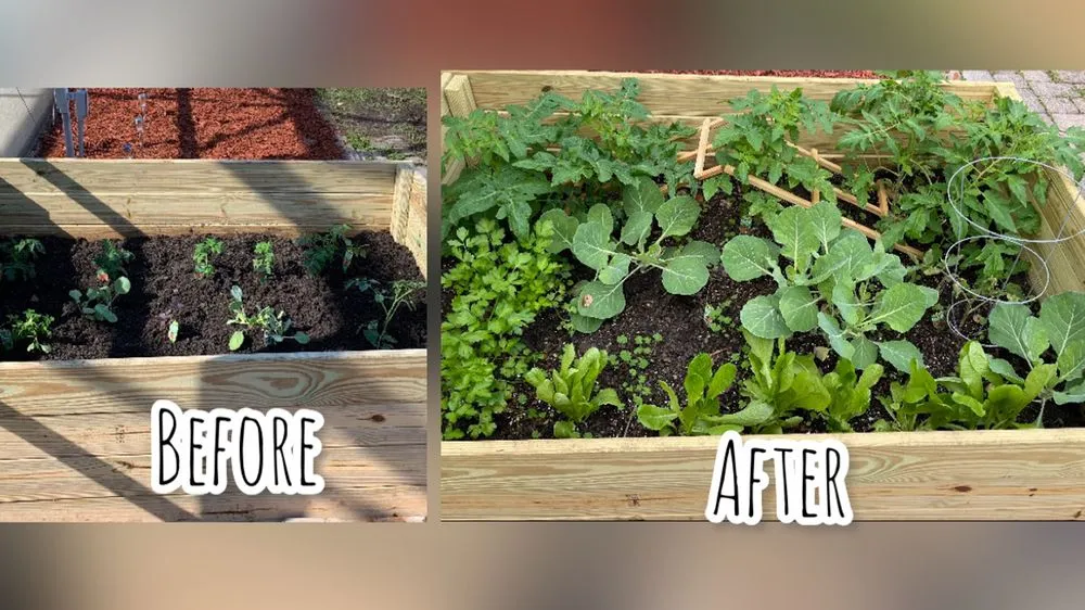 Professional lawn care service near you in Orlando, FL by Jny Landscaping