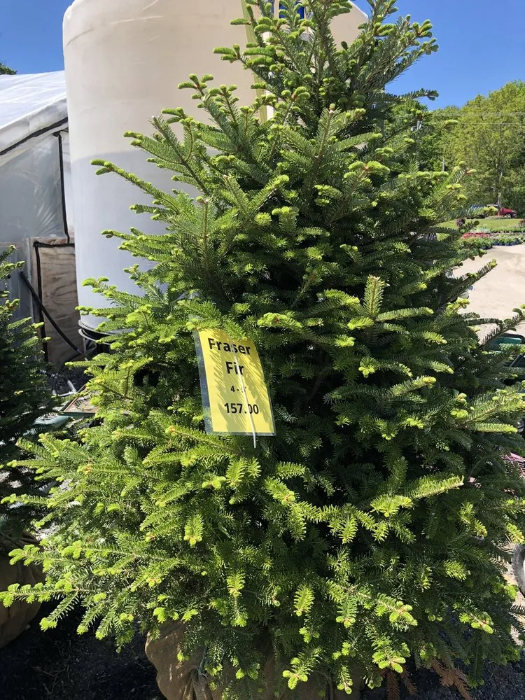 Professional lawn care service for residential properties across Wells, ME - Jo-Ann's Gardens