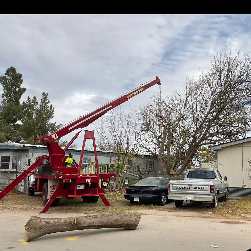 Professional yard cleanup service for outdoor upgrades in Midland, TX by Jo Jo's Bee Lawn & Tree Service