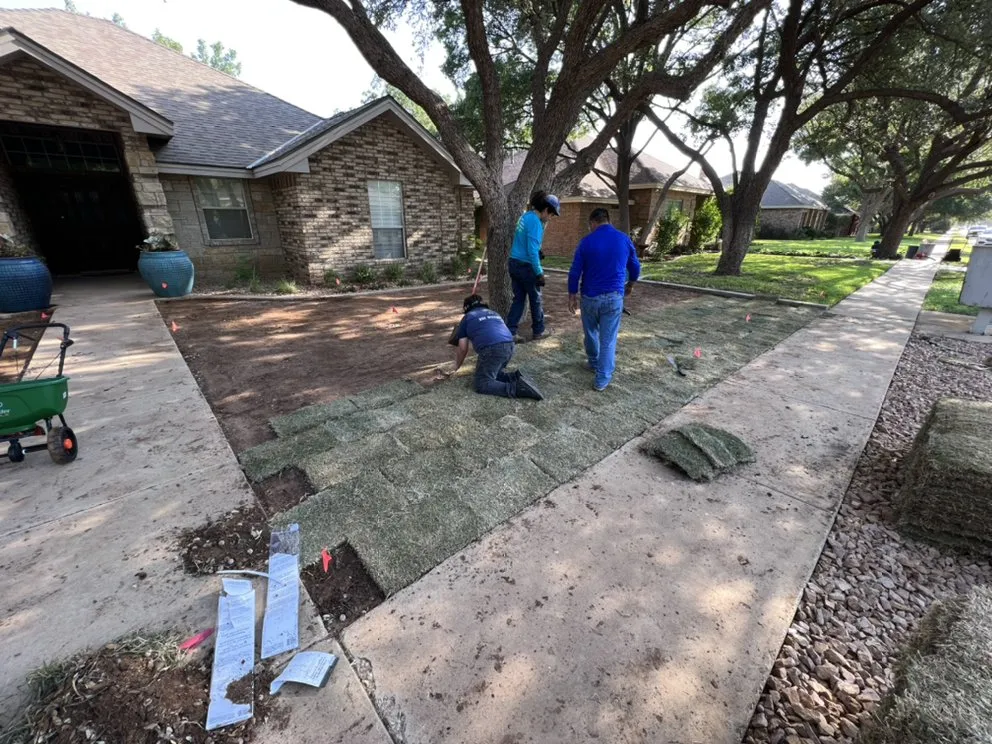 Custom lawn mowing service experts serving Midland, TX - Jo Jo's Bee Lawn & Tree Service