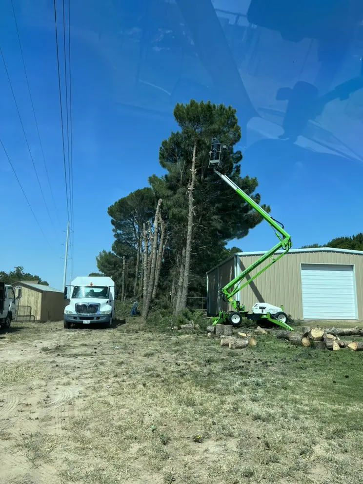 Custom garden landscaping in Midland, TX - Jo Jo's Bee Lawn & Tree Service