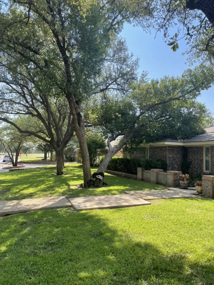 Professional garden landscaping in Midland, TX - Jo Jo's Bee Lawn & Tree Service