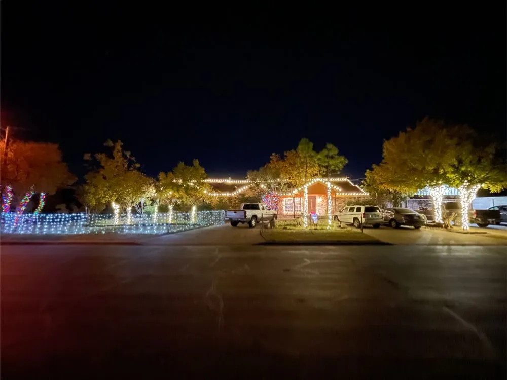 Custom yard cleanup service experts serving Midland, TX - Jo Jo's Bee Lawn & Tree Service