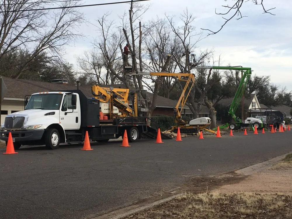 Top-rated landscape installation for residential properties in Midland, TX by Jo Jo's Bee Lawn & Tree Service