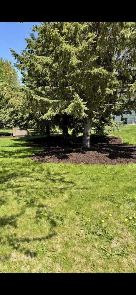 Top-rated outdoor landscaping for beautiful yards across Byron, MN - J&O Landscaping