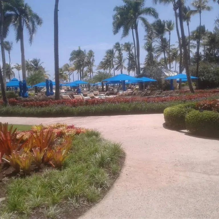 Affordable garden landscaping for homes across Lorain, OH - J.O Landscaping