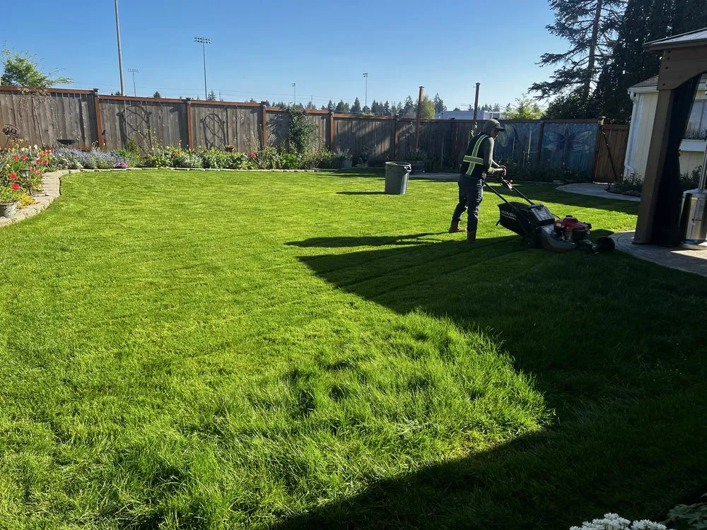 Trusted landscape installation experts serving Auburn, WA - J&O Lanscaping