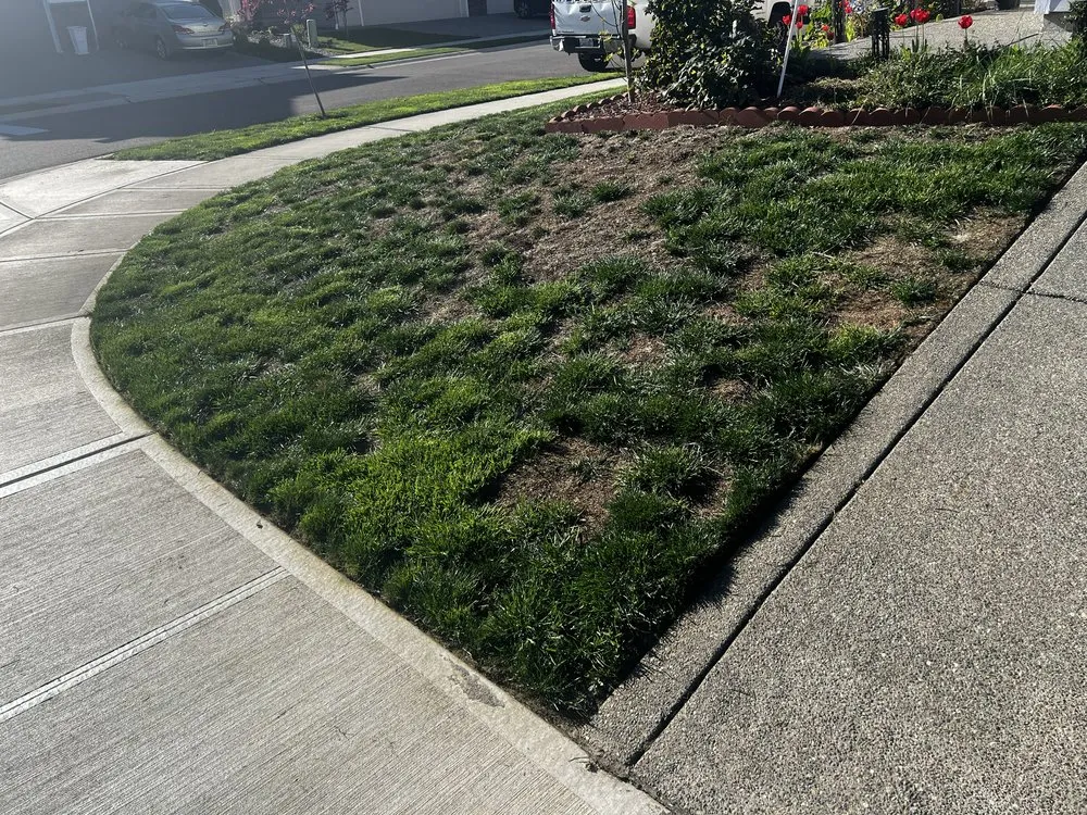 Reliable residential landscaping for residential properties across Auburn, WA - J&O Lanscaping