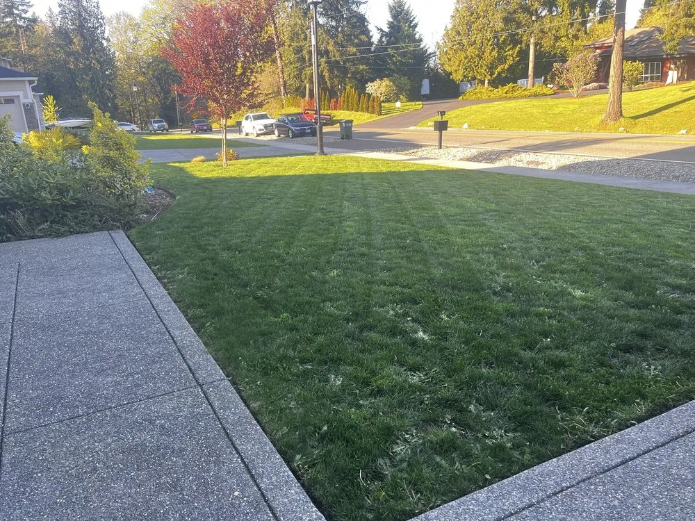 Top-rated landscape design experts serving Auburn, WA - J&O Lanscaping