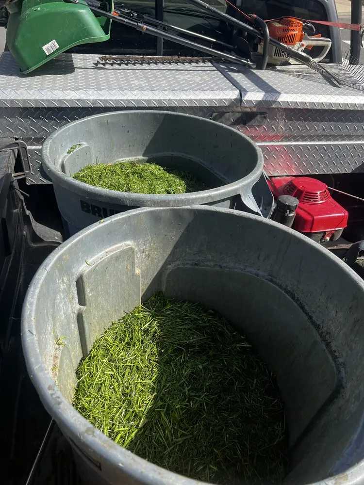 Trusted yard cleanup service experts serving Auburn, WA - J&O Lanscaping