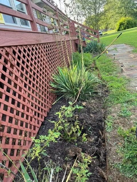 Local outdoor landscaping near you in Mineral, VA by JOAPA Lawn & Landscape