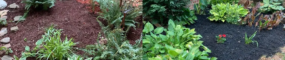 Expert yard maintenance experts serving Mineral, VA - JOAPA Lawn & Landscape