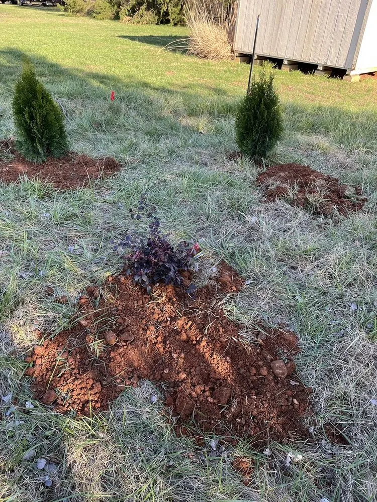 Top-rated lawn mowing service experts serving Mineral, VA - JOAPA Lawn & Landscape