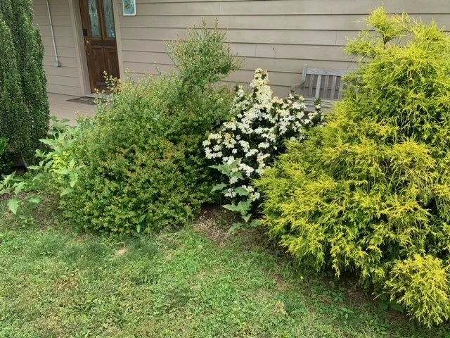 Affordable yard maintenance experts serving Mineral, VA - JOAPA Lawn & Landscape