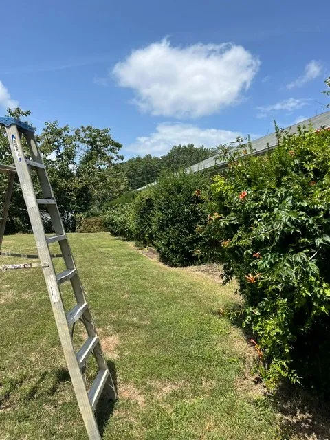 Professional outdoor landscaping in Mineral, VA - JOAPA Lawn & Landscape