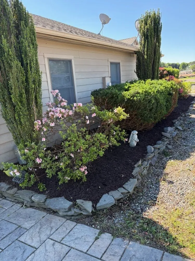 Trusted landscape installation in Mineral, VA by JOAPA Lawn & Landscape